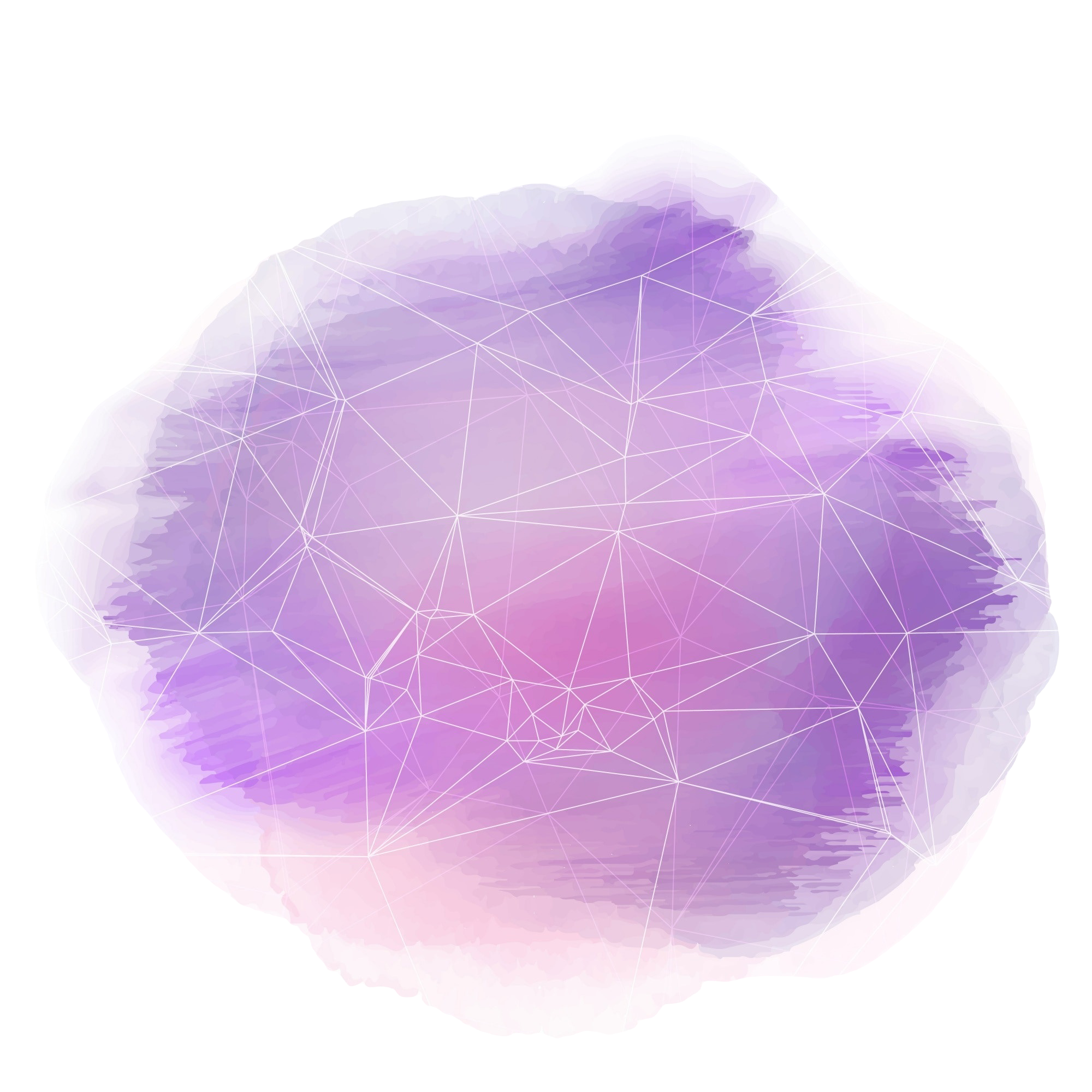 Our Vision